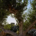 Вилла Enchanting With Pool & Lush Garden In Sicily *