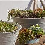 Вилла Enchanting With Pool & Lush Garden In Sicily *