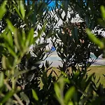 Вилла Enchanting With Pool & Lush Garden In Sicily *