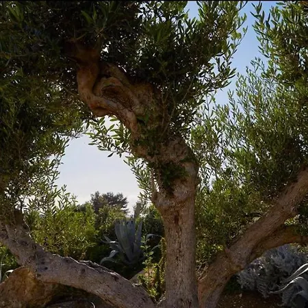 Villa Enchanting With Pool & Lush Garden In Sicily *